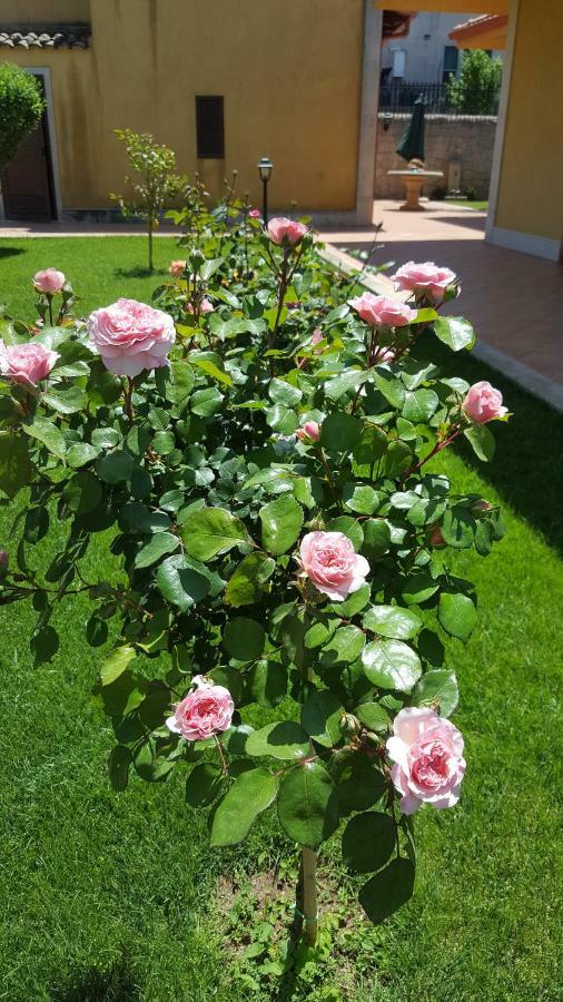 Le Rose Di Modica Villa Kültér fotó